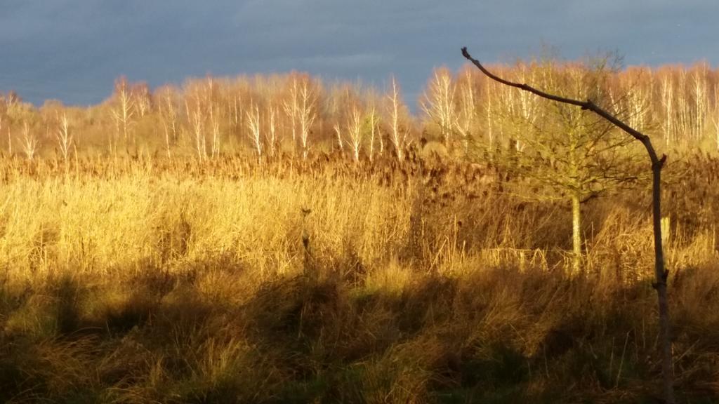 Aux Charmes De La Campagne Villa Hautrage Bagian luar foto