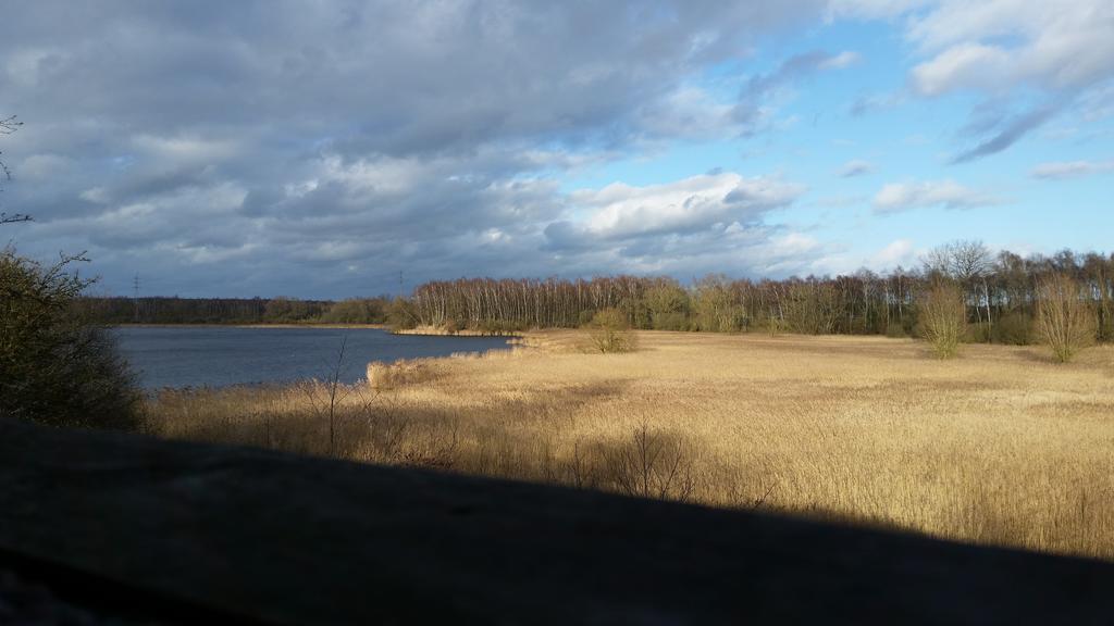 Aux Charmes De La Campagne Villa Hautrage Bagian luar foto